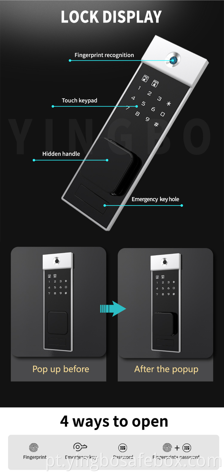 fingerprint password safe box